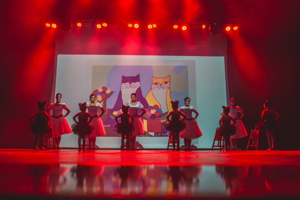 Performers Família de Gatos