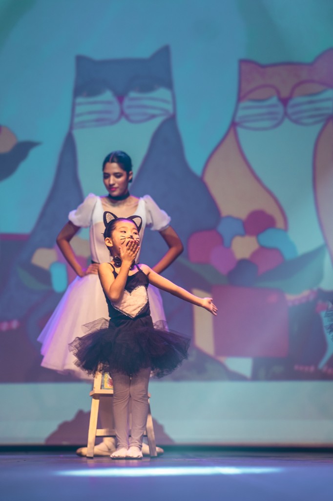 Apresentação Família de Gatos